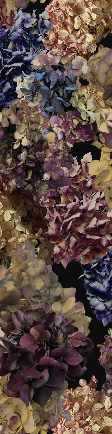 Heavenly Hydrangea Wallpaper