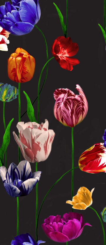 Blooming Tulips Vinyl Wallpaper